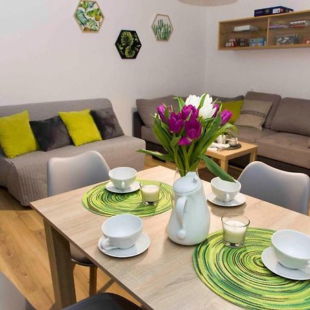 Apartament Grapa Żywiec Kültér fotó